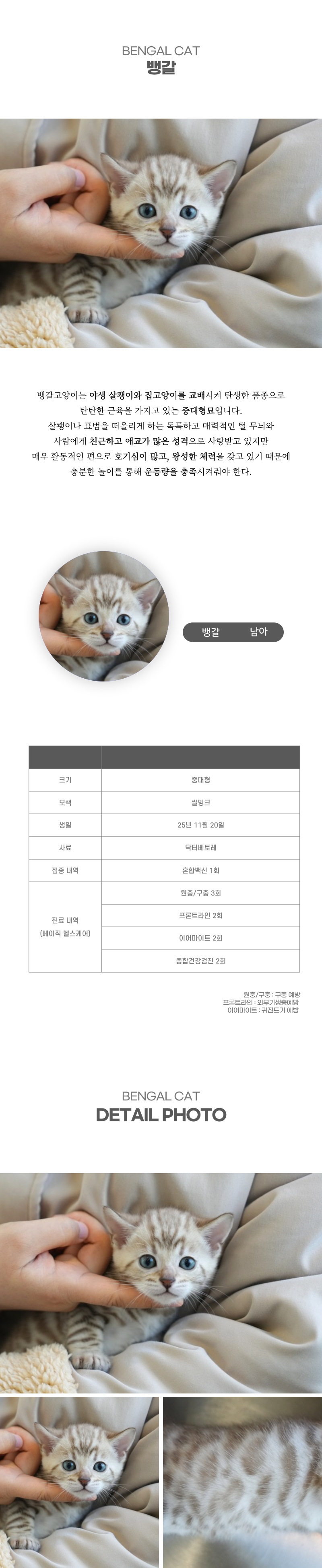 뱅갈_상세이미지_2